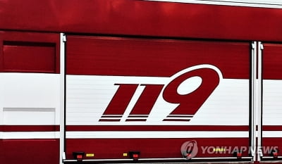 안성 이면도로서 2세 아동 우회전 차량에 치여 사망
