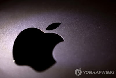 '애플워치 이후 최대 야심작'…애플 MR 헤드셋 '개봉박두'
