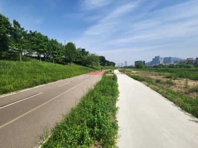 청주 무심천 자전거도로·산책로 이원화 연말 완료