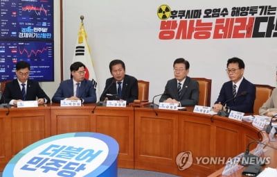 민주, 후쿠시마 오염수 총공세…"국민 우려 괴담 치부"