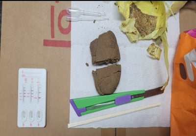 음주운전 신고 받고 출동했더니 '마약 쿠키' 소지한 외국인