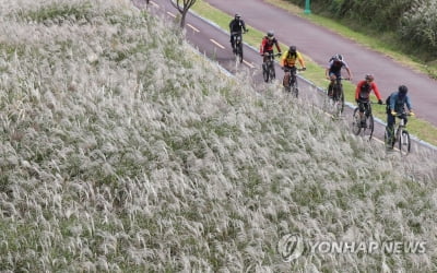 울산 자전거도로 위험지역 안전 개선한다…정부 공모 선정