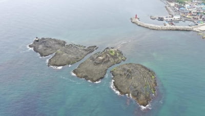 푸른 바다와 어우러진 '포항 오도리 주상절리' 천연기념물 된다