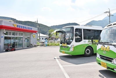 강원도 최초 공영버스 정선군, 지속 투자·서비스 개선