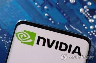 "미 증시랠리 '스타주'에 편중…투자자 일부 당혹"