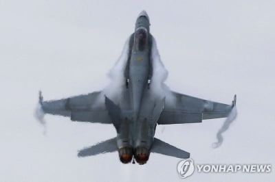 美, 호주 F-18 전투기 40여대 우크라에 지원 추진