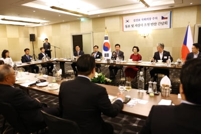김의장, '재외국민투표 개선' 교민 건의에 "대안 찾아야"