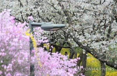 작년 봄 이어 올해 봄도 역대 가장 더웠다