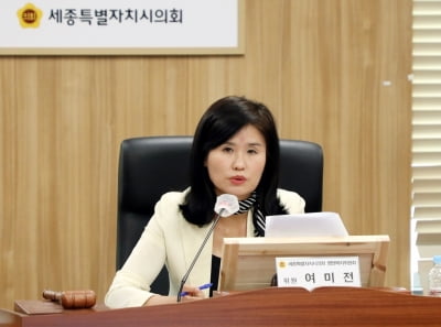 여미전 세종시의원 "시, 평화의 소녀상 관리 적극 나서야"