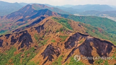 1년새 대형산불 겪은 경남 시·군들, 여름철 산사태 예방에 골몰