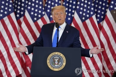 [트럼프 기소 Q&A] 이번엔 진짜 심각…'불사조' 명성 무너지나