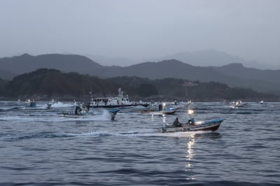 "물고기 다 어디로 갔나"…강원 동해 어획량, 작년의 82%