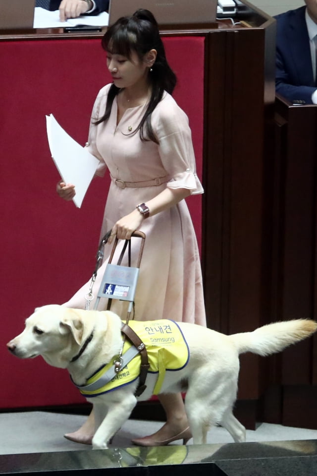 김예지 국민의힘 의원이 14일 오후 서울 여의도 국회에서 열린 대정부질문에서 안내견 '조이'와 함께 단상으로 이동하고 있다. / 사진=뉴스1