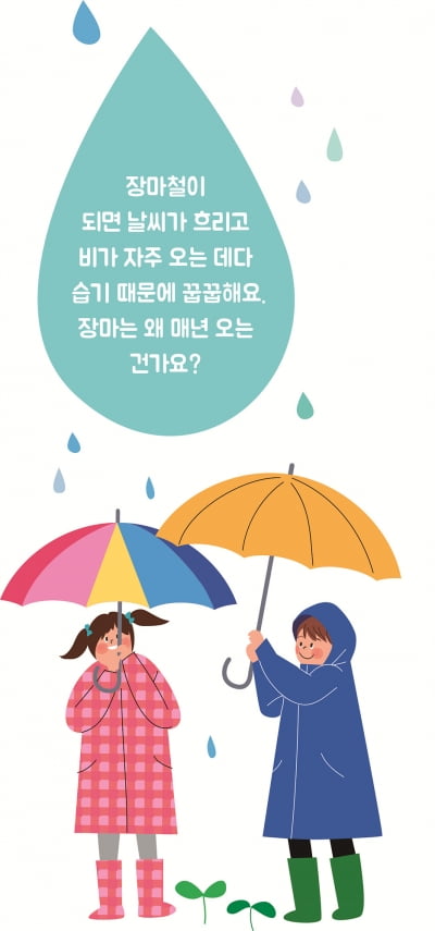 [궁금해요!] 왜 매년 여름 많은 비가 내리는 건가요?