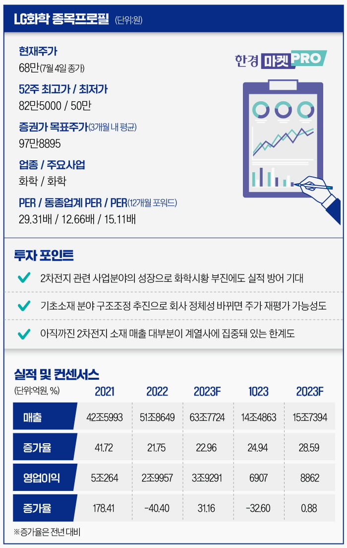 [마켓PRO] 주력사업 구조조정 나선 LG화학…친환경 대장주로 진화할까