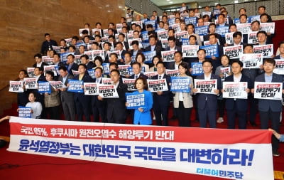 민주 "처리수 방류 땐 '日 수산물 전체 수입금지' 입법 검토"