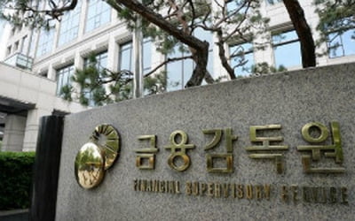 금감원, IPO 신고서 1주일 집중심사…"일정 변동성 낮춘다"