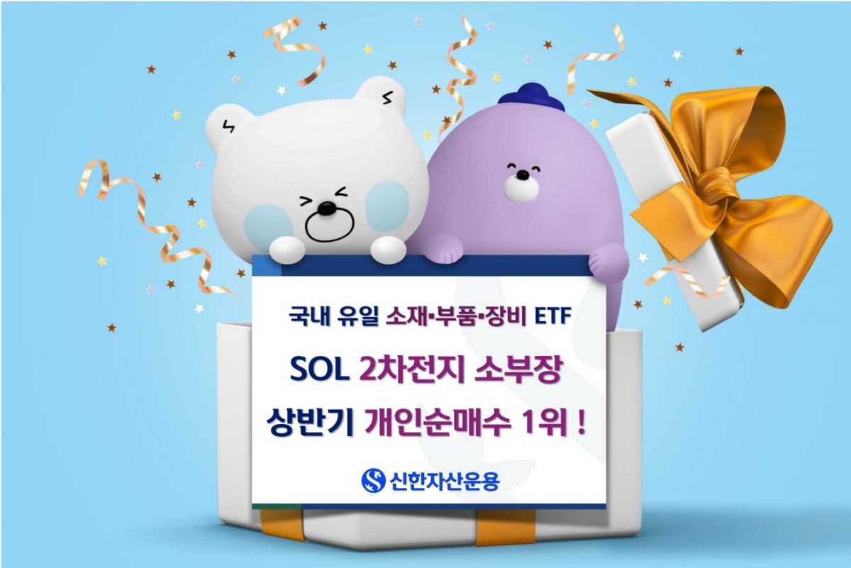 상반기 개인순매수 1위 ETF는 'SOL 2차전지 소부장'