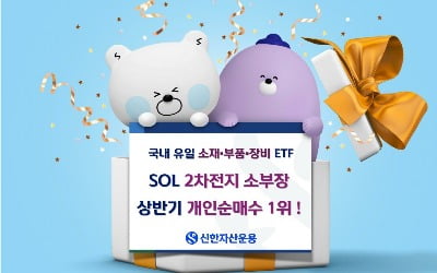 상반기 개인순매수 1위 ETF는 'SOL 2차전지 소부장'