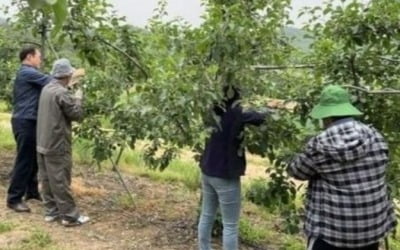 충북 보은서 또…베트남 계절근로자 7명 종적 감췄다