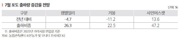 자료=한국농촌경제연구원 '농업관측 7월호 과일' 