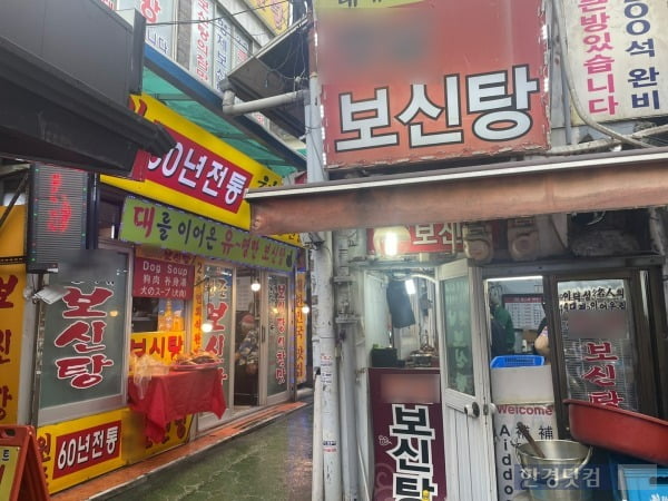 보신탕을 판매 중인 식당들의 전경. /사진=김세린 기자