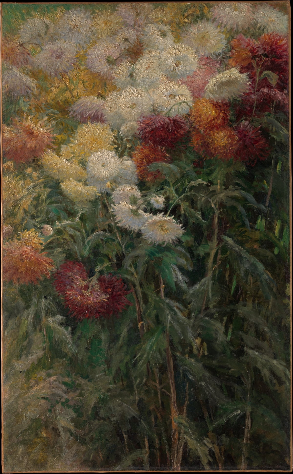 'Chrysanthemums in the Garden at Petit-Gennevilliers'(1893). 메트로폴리탄 박물관 소장