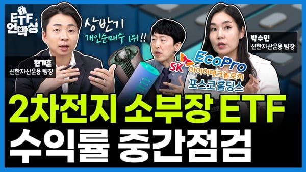 에코프로·포스코홀딩스 이을 2차전지 스타株는? [ETF 언박싱]