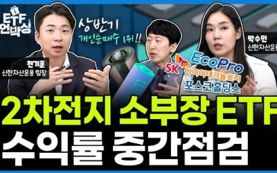 에코프로·포스코홀딩스 이을 2차전지 스타株는? [ETF 언박싱]