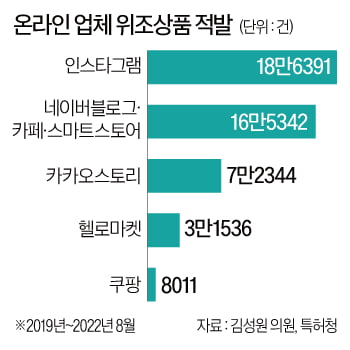 네이버 정조준 했나…짝퉁 판 플랫폼 '연대책임 강화 법' 나왔다 