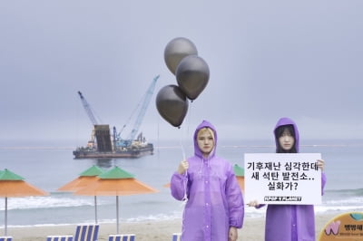 'BTS 성지' 맹방해변에서 피켓 든 K팝 팬…무슨 일?