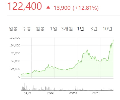 "돈 복사기네"…1년새 2200% 폭등한 '세기의 주식'