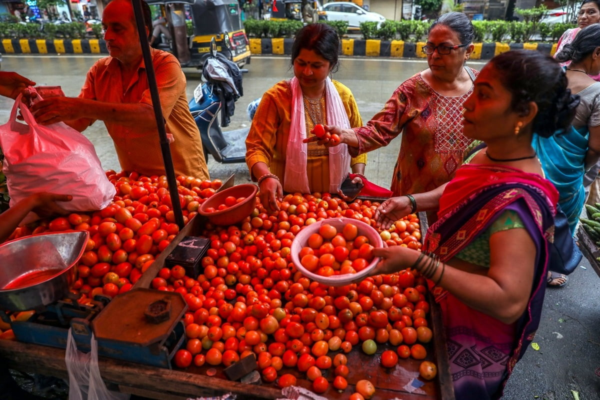 지난 17일(현지시간) 인도 뭄바이의 한 채소 시장에서 사람들이 토마토를 구입하고 있다. 최근 몇 주 간의 농작물 피해로 인도 토마토 가격은 기존 1㎏당 80루피(약 1200원)에서 250루피까지 치솟았다. EPA
