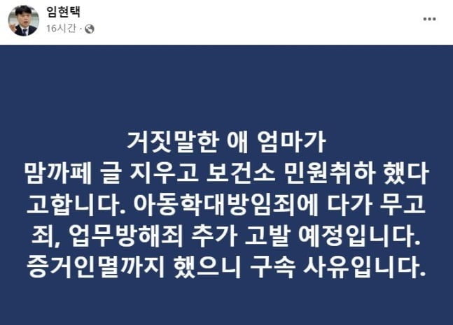 사진=임현택 대한소아청소년과의사회 회장 페이스북