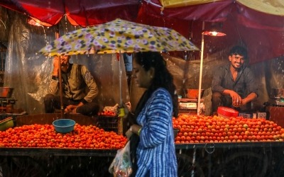 토마토값 400% 폭등…살인적 '식품 인플레' 몸살 앓는 인도