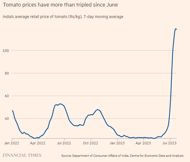 토마토값 400% 폭등…살인적 '식품 인플레' 몸살 앓는 인도