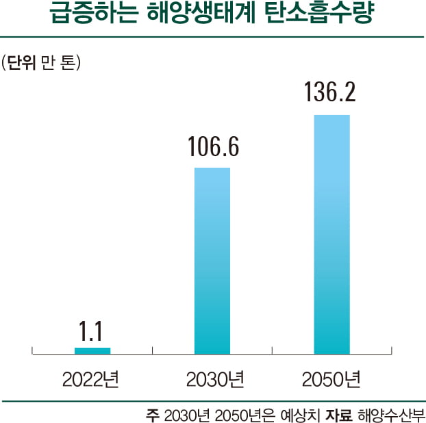 온난화로 맹그로브 북상…정부, 블루카본 연구 본격화