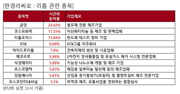 금양,코스모화학,리튬포어스,STX,하이드로리튬,에코프로,석경에이티,포스코엠텍,강원에너지,포스코인터내셔널