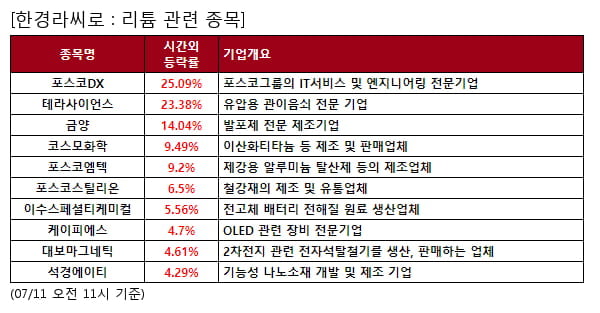 포스코DX,테라사이언스,금양,코스모화학,포스코엠텍,포스코스틸리온,이수스페셜티케미컬,케이피에스,대보마그네틱,석경에이티