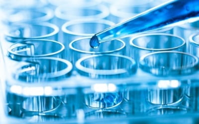 인트론바이오, 법정가축전염병 실시간 유전자 진단법 개발 착수