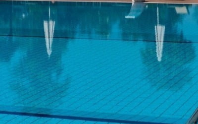 일본서 女수영경기 중계 중 성희롱한 伊해설사 퇴출