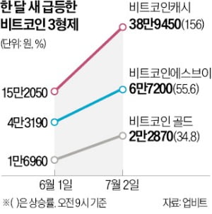 큰형님 덕봤다…'비트코인 3형제'도 초강세 행진