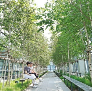 한국경제신문에 처음 공개된 서울 용산 하이브 사옥의 콘셉트는 ‘상상력의 확장’과 ‘소통 활성화’로 요약된다. 최상층인 19층에 조성된 야외정원 ‘콤브’가 그런 곳들이다.  이솔 기자 