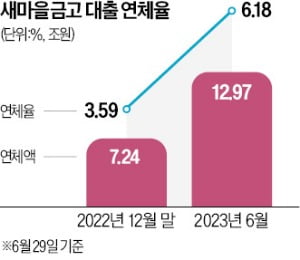 새마을온라인카지노, 소형 빌라까지 '공격 대출'…경기침체로 연쇄 부실