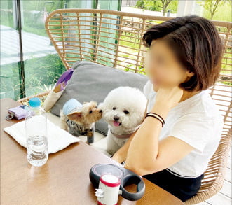 지난 7일 경기 의왕시에 있는 반려동물 동반 허용 음식점에서 한 손님이 반려견과 한자리에서 커피를 마시고 있다.  /의왕=오유림 기자 