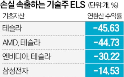 주가 2배 뛰었는데…테슬라 ELS 무더기 손실