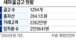 '뱅크런 우려' 새마을금고에…은행권, 6조 규모 유동성 지원