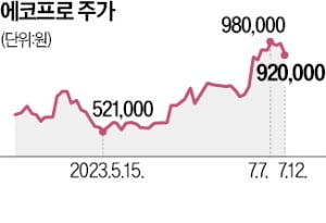 황제株 에코프로 '어닝쇼크'