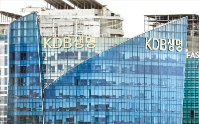 KDB생명 품는 하나금융…非은행 강화, 금융시장 판 흔든다