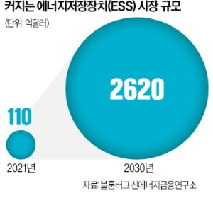 저장할 수 없는 전력…모자라면 정전, 넘치면 낭비…바카라 카지노가 해결한다